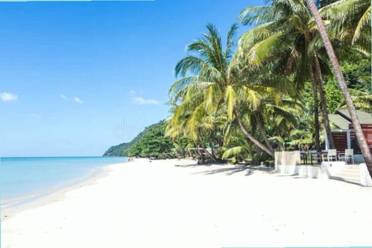 white sand beach photo