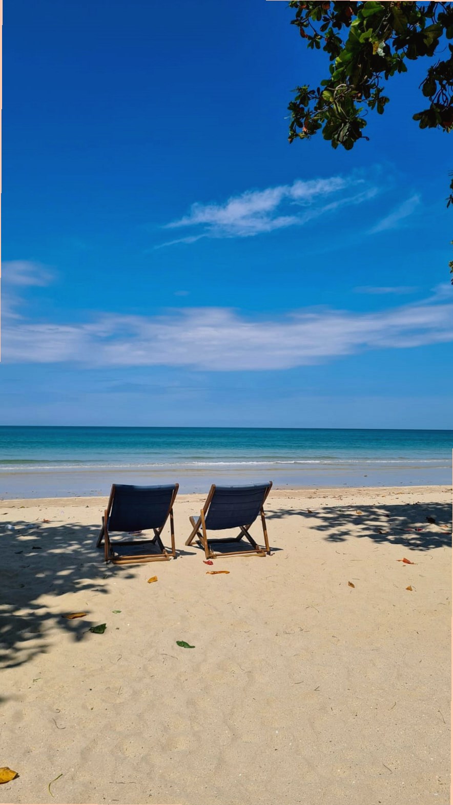 white sand beach photo